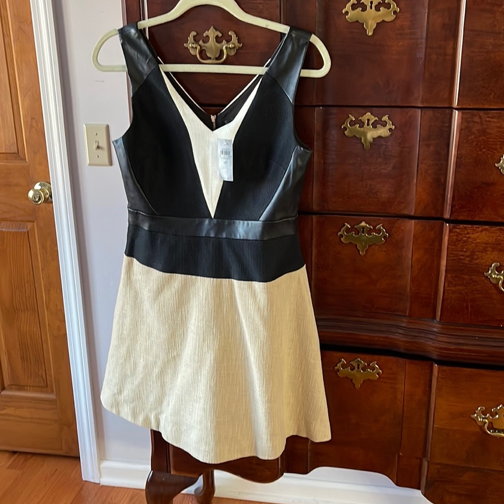 Ann Taylor 4P dress